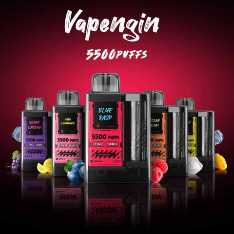 Vapengin 5500 Disposable Vape - Energy Emporium 